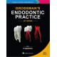 Grossman's Endodontic Practice
